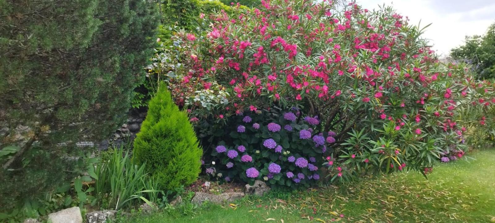Gite 3 "Le Canal De Baza" Aux Magnolias 欧布纳 外观 照片