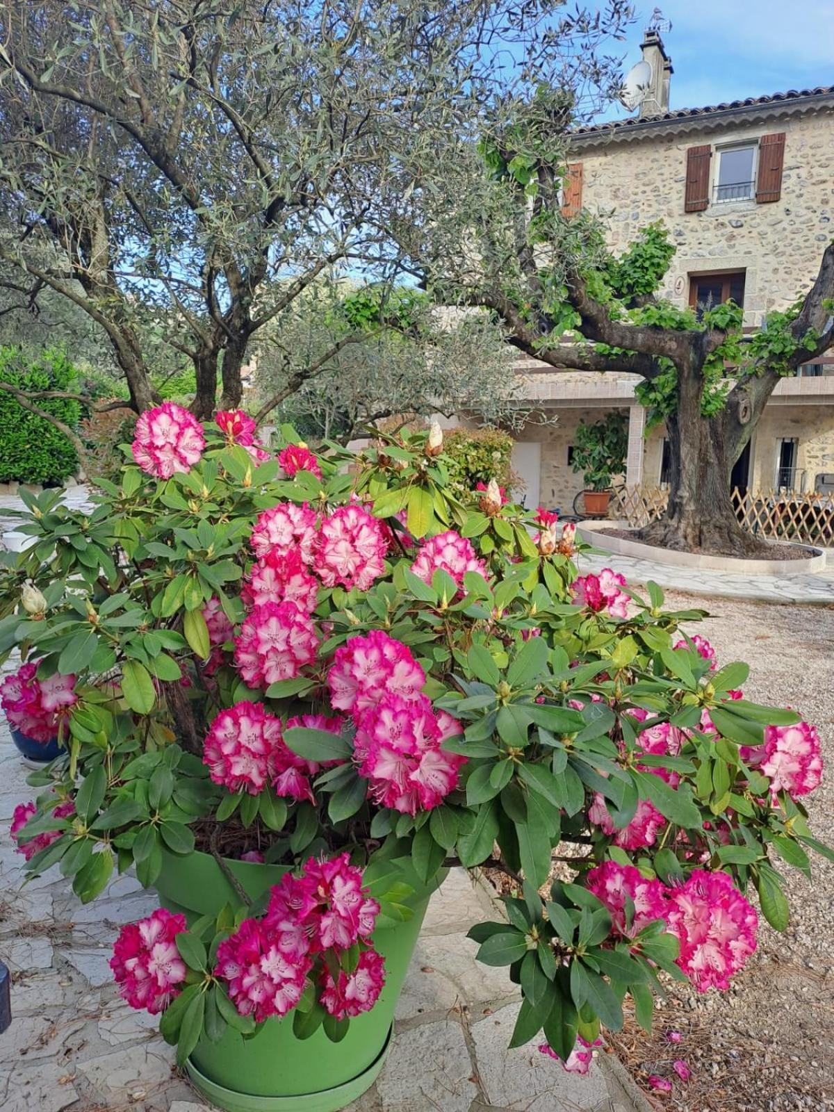 Gite 3 "Le Canal De Baza" Aux Magnolias 欧布纳 外观 照片