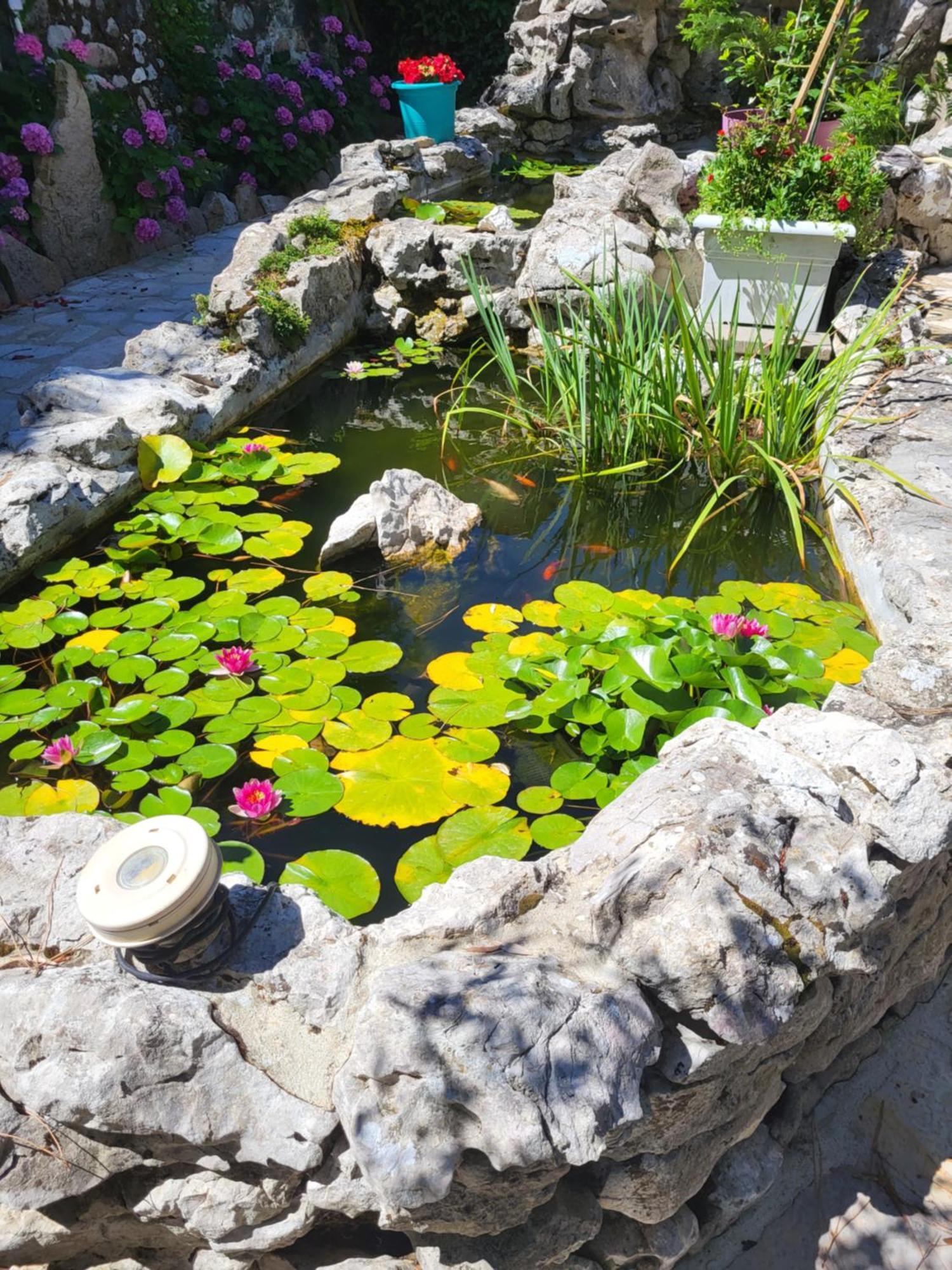 Gite 3 "Le Canal De Baza" Aux Magnolias 欧布纳 外观 照片