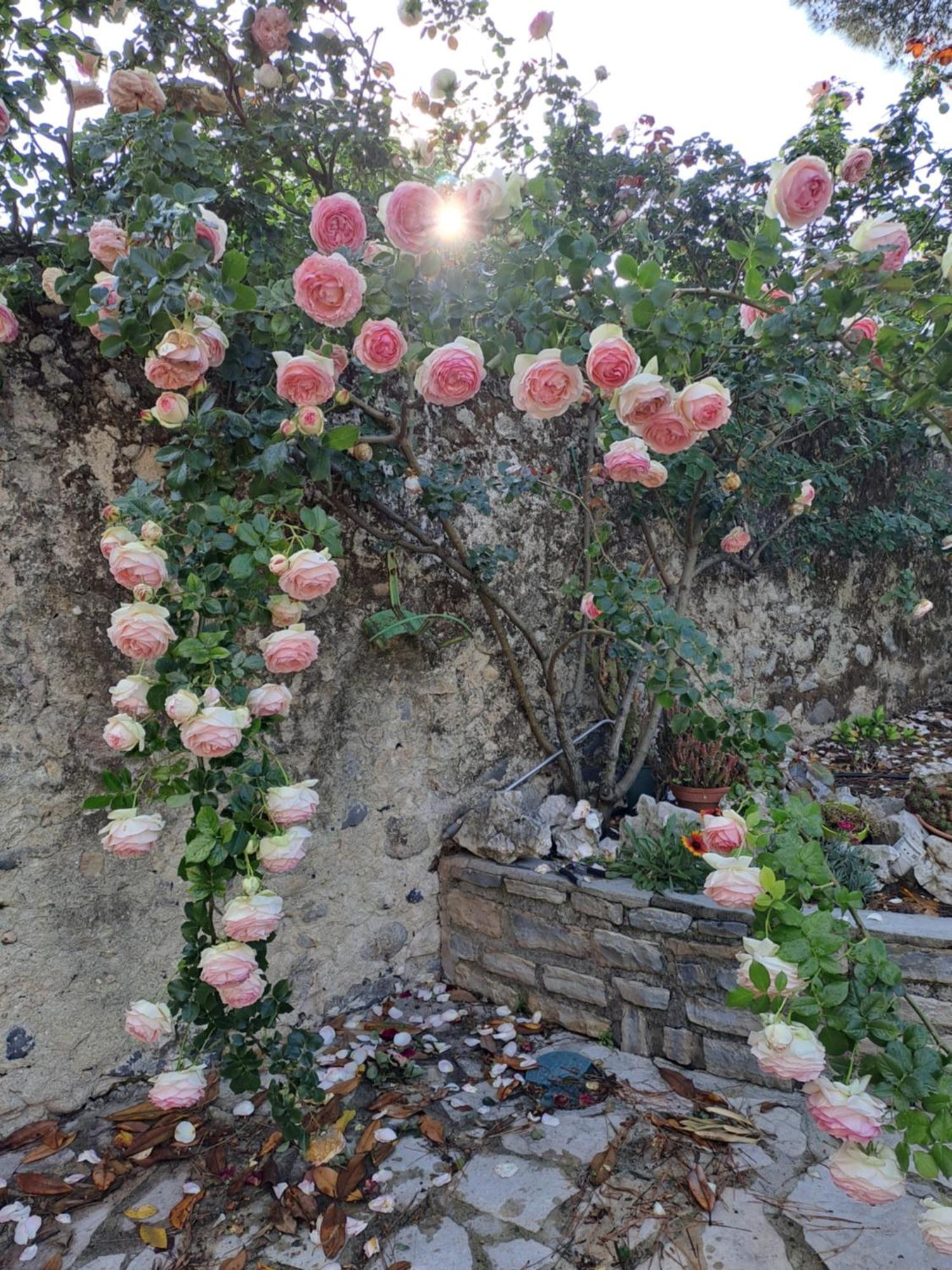 Gite 3 "Le Canal De Baza" Aux Magnolias 欧布纳 外观 照片